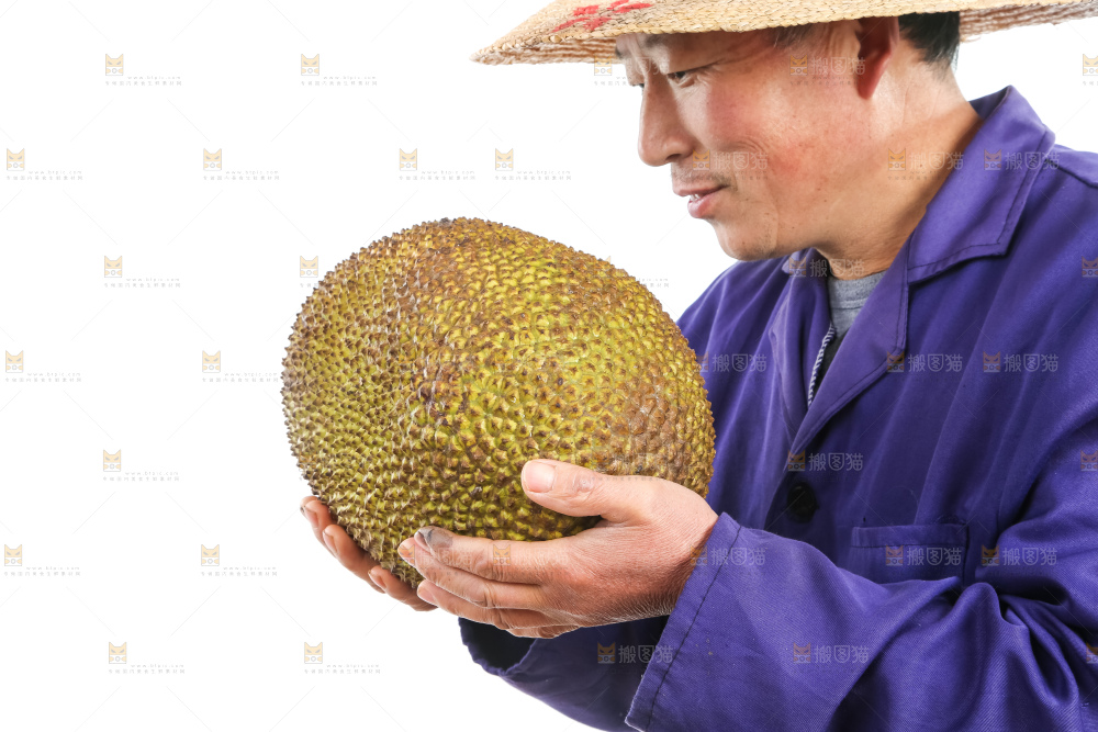 农民手里捧着菠萝蜜