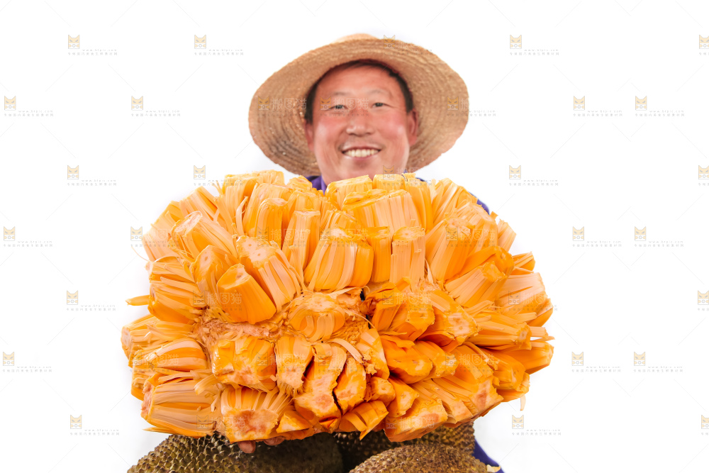 手里捧着红肉菠萝蜜