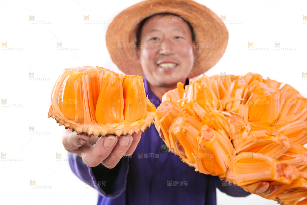 农民手里拿着红肉菠萝蜜