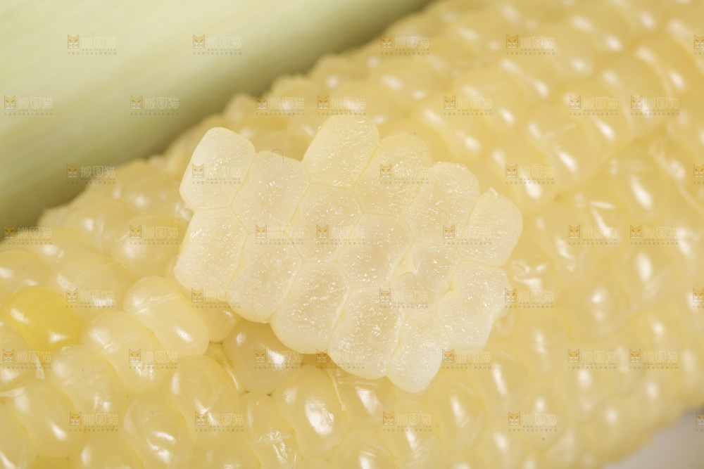 新鲜白糯玉米