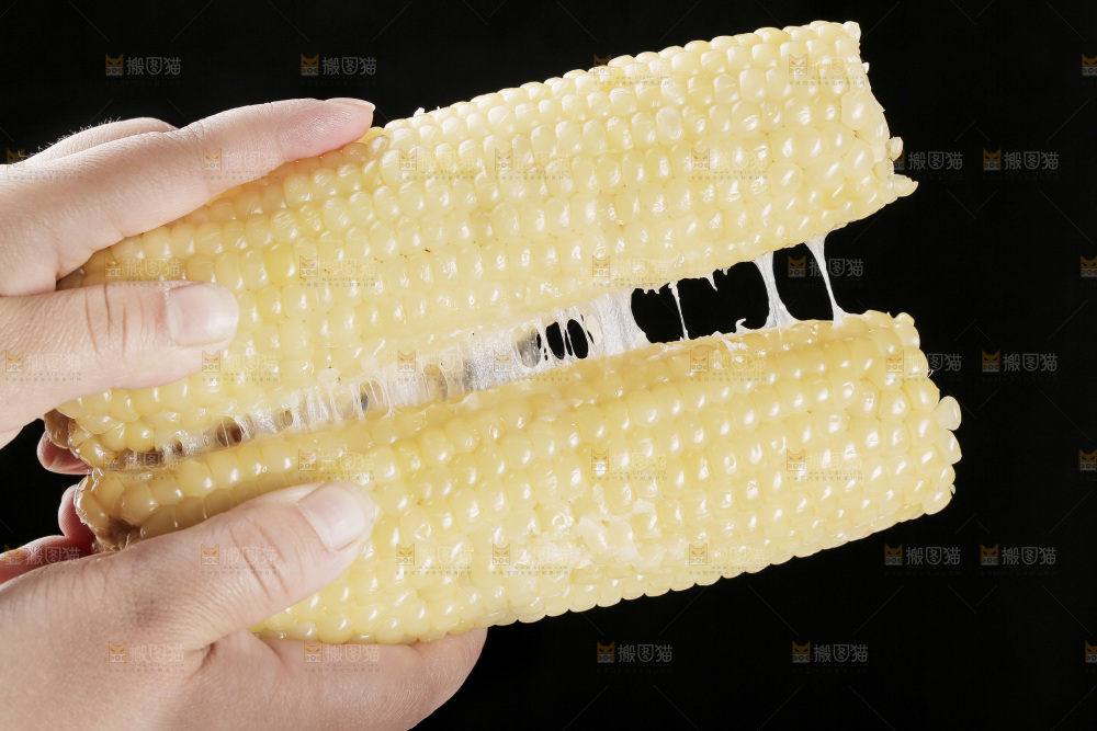 手里拿着白糯玉米