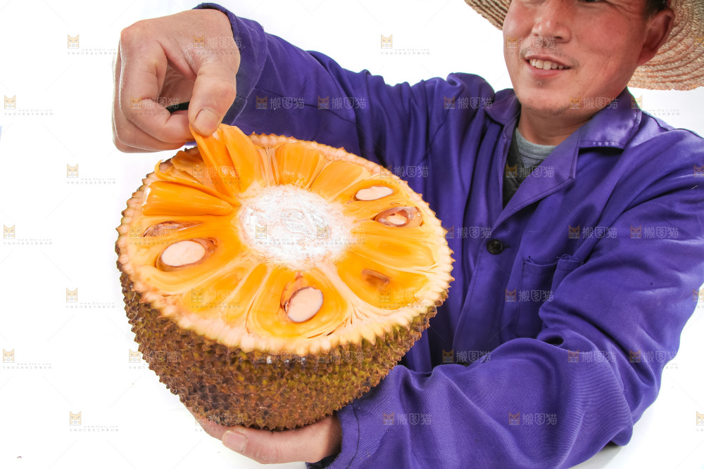 手里抱着半边泰国菠萝蜜