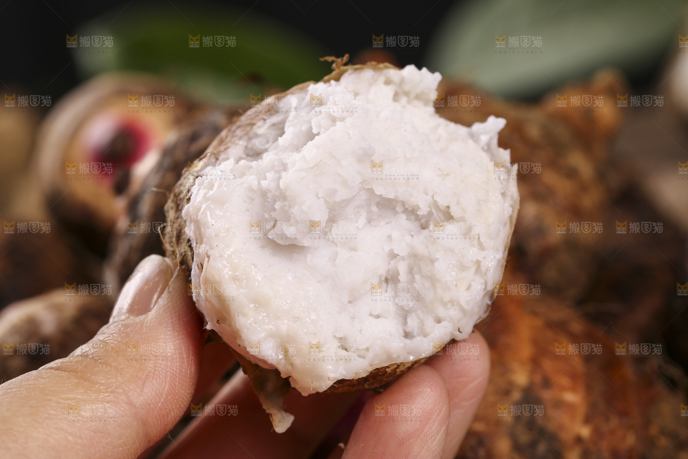 手里拿着熟的红芽芋