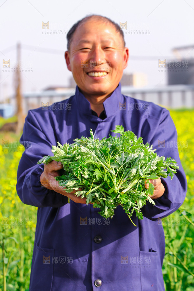 手里捧着艾草叶