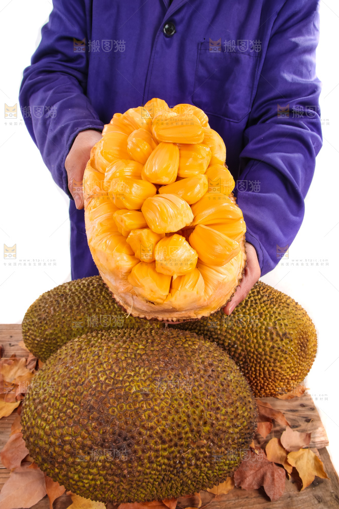 手里捧着泰国红肉菠萝蜜