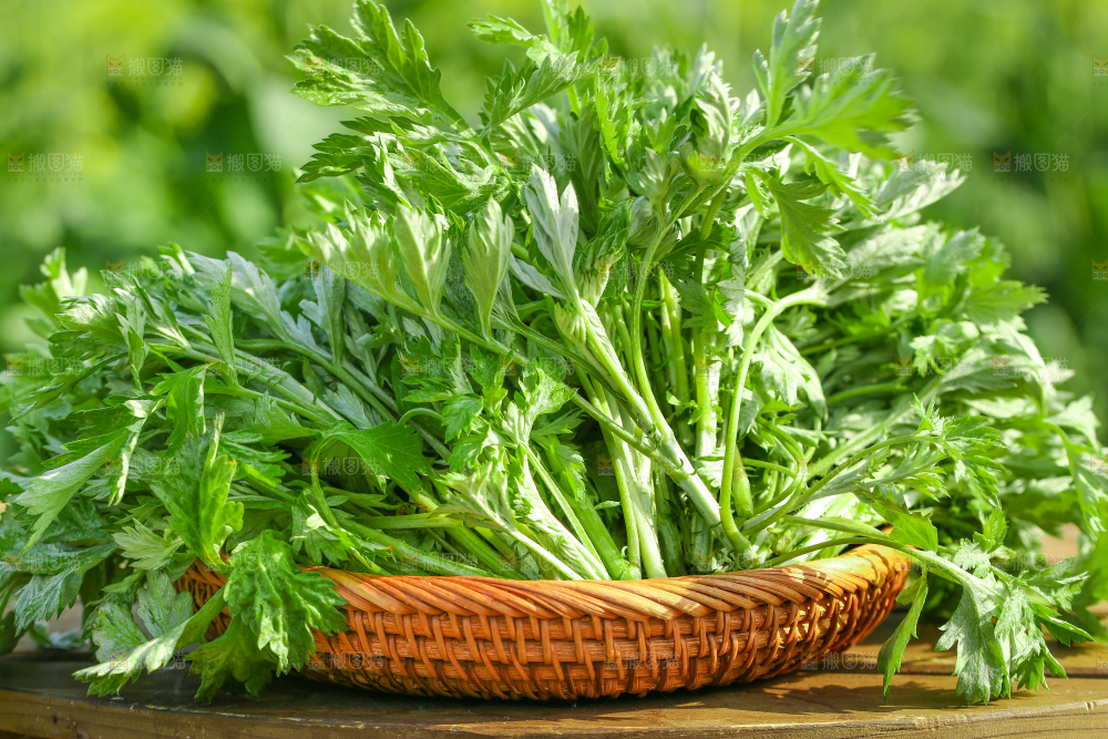 一篮新鲜艾叶