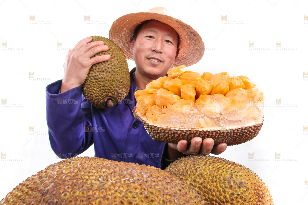手里拿着红肉菠萝蜜