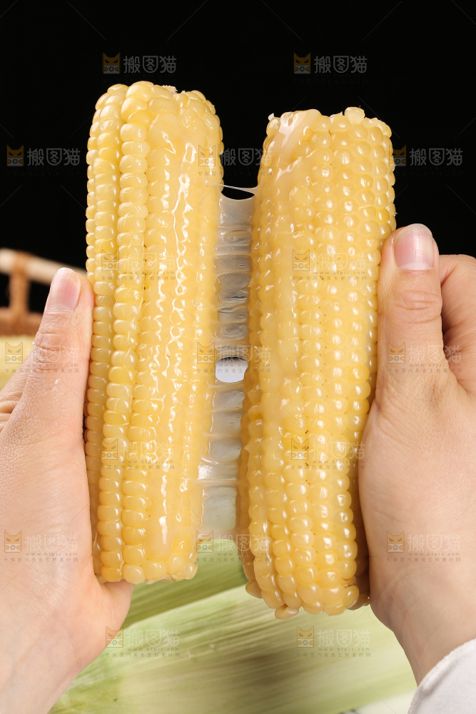 手里拿着白糯玉米