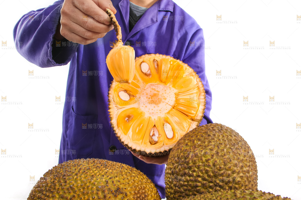 红肉菠萝蜜果肉