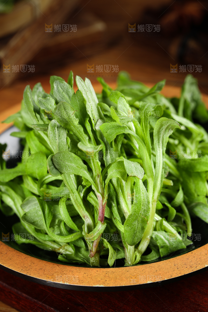 一盘野生鼠曲草