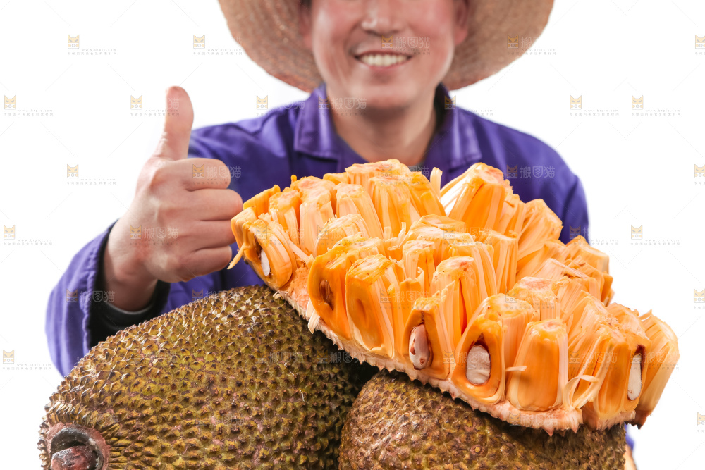 一堆新鲜红肉菠萝蜜