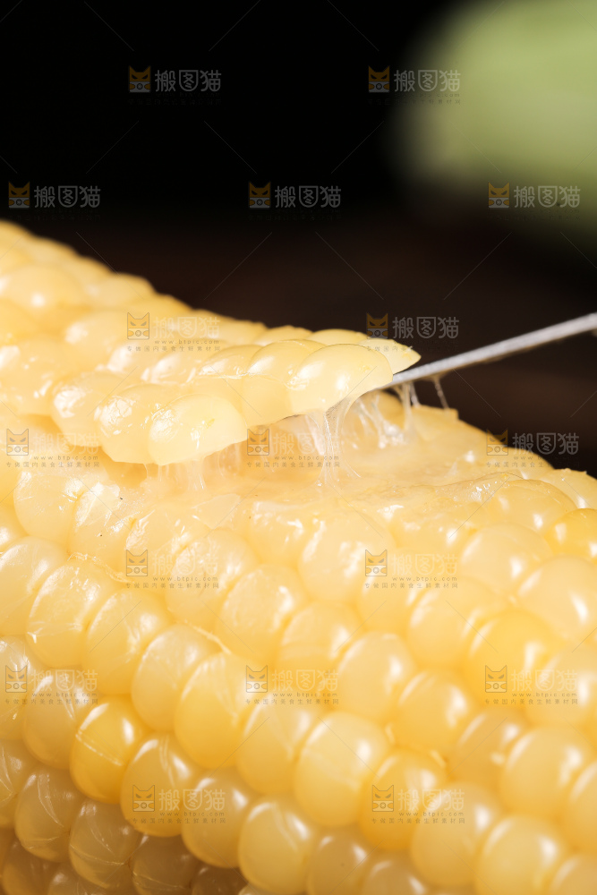 新鲜的白糯玉米