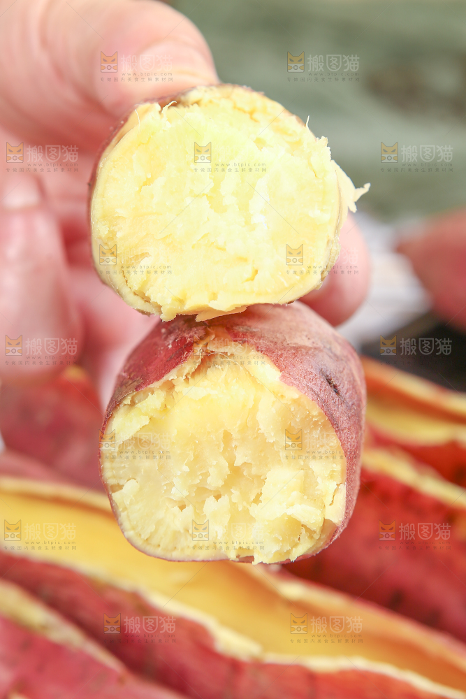 手里拿着黄心板栗红薯