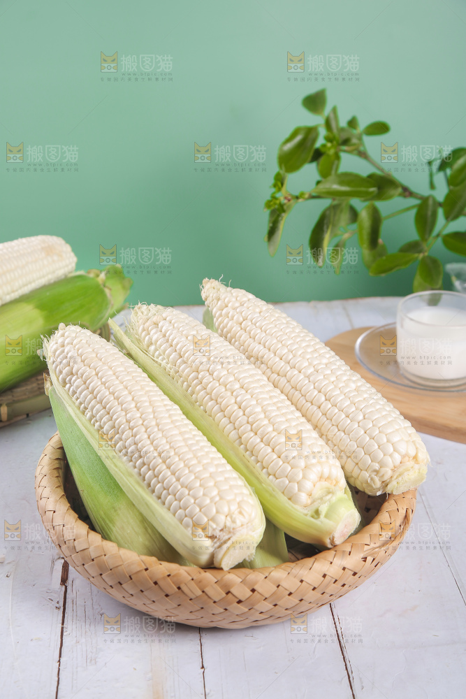 一篮新鲜白糯玉米