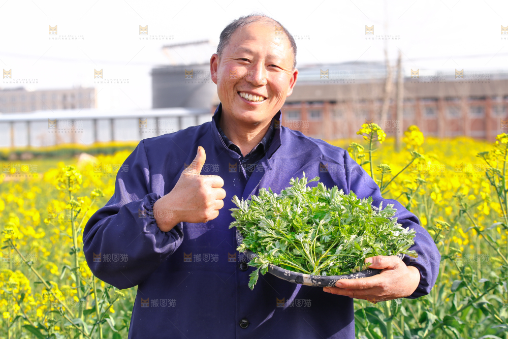 农民手里端着一篮艾草