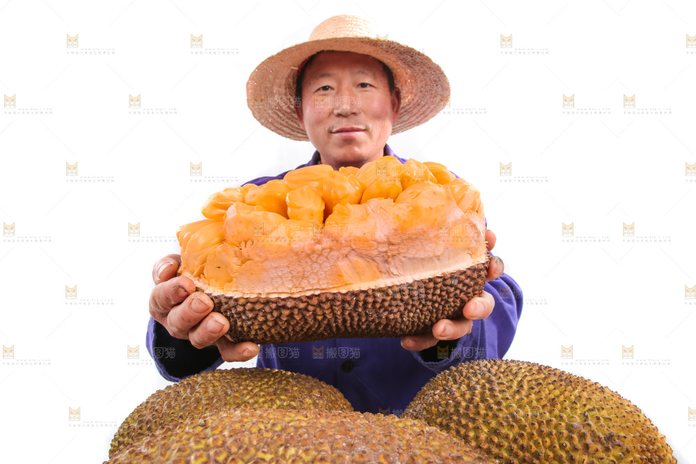 农民手里捧着红肉菠萝蜜