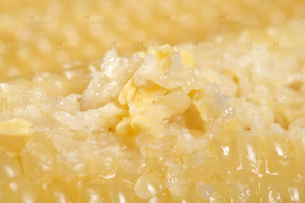 新鲜的甜糯玉米