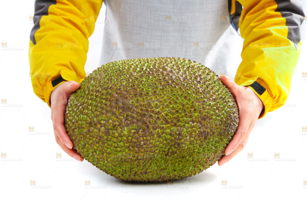 一个完整泰国菠萝蜜