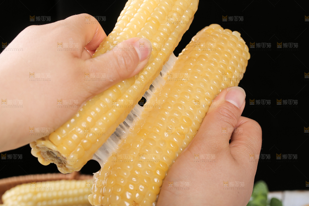 手里拿着白糯玉米