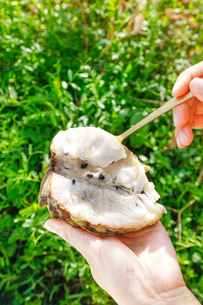 勺子上舀着释迦果果肉