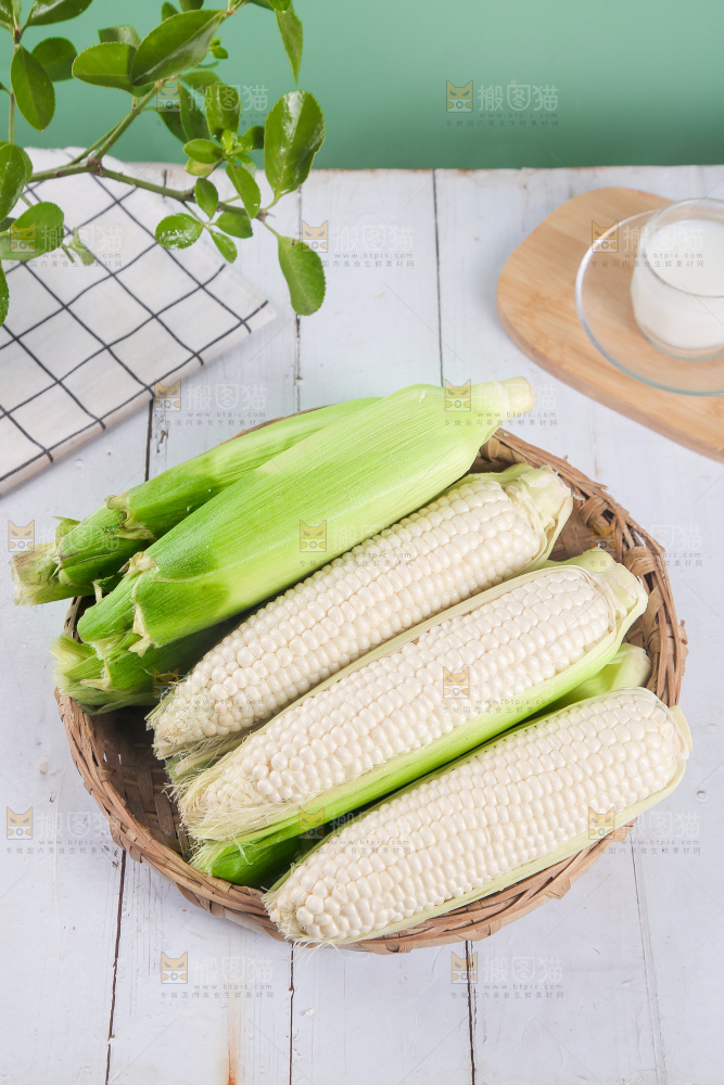 一篮新鲜白糯玉米