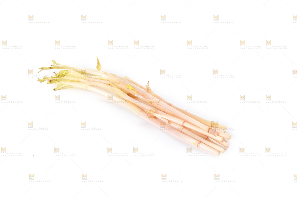 白底上的鱼腥草嫩芽