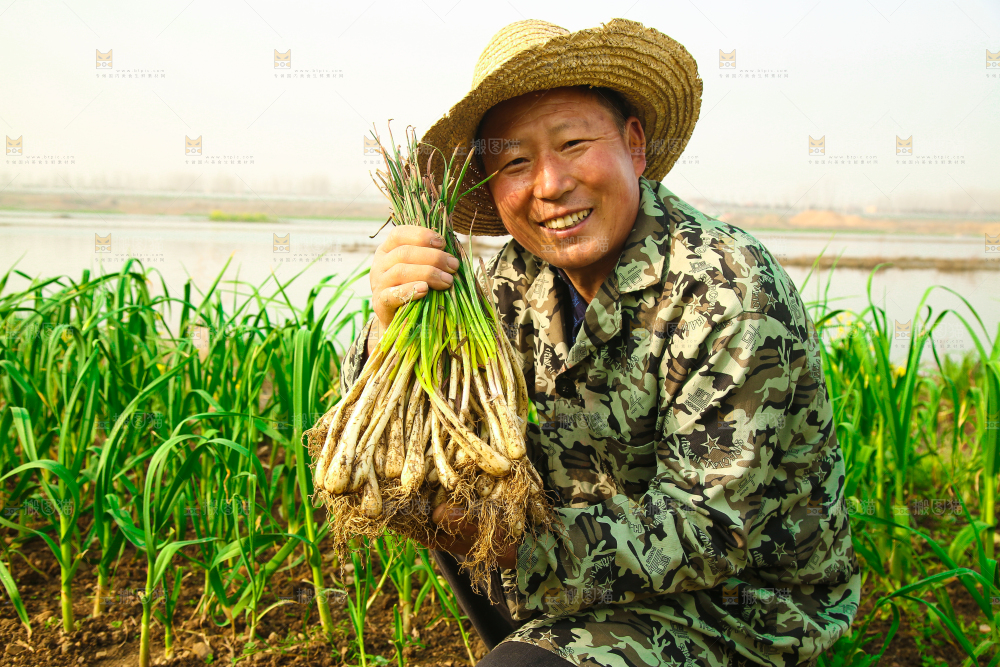 手里拿着带叶荞头