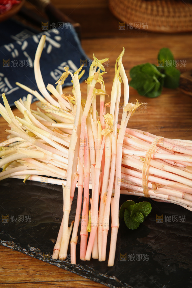 一堆鱼腥草嫩芽