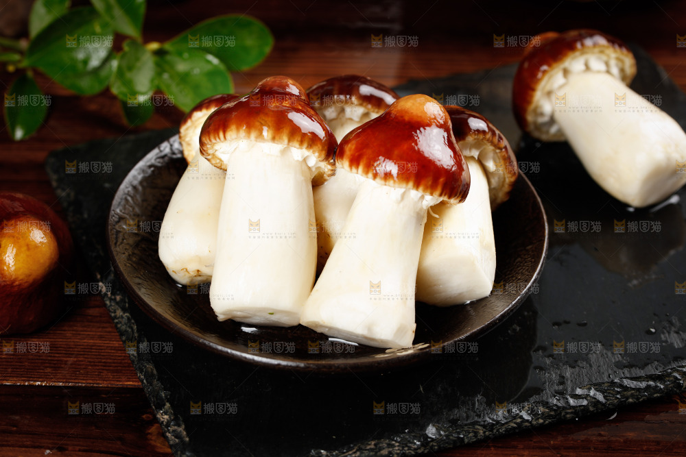 一盘姬松茸
