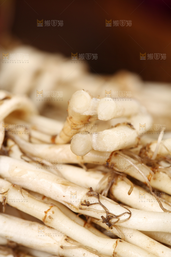 鲜嫩折耳根