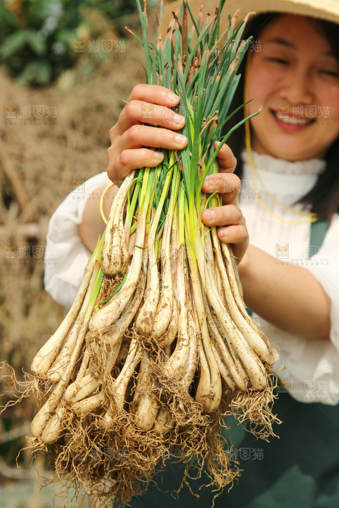 手里拿着荞头