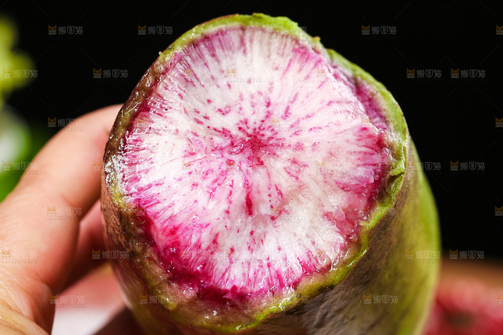 手里拿着冰糖心萝卜