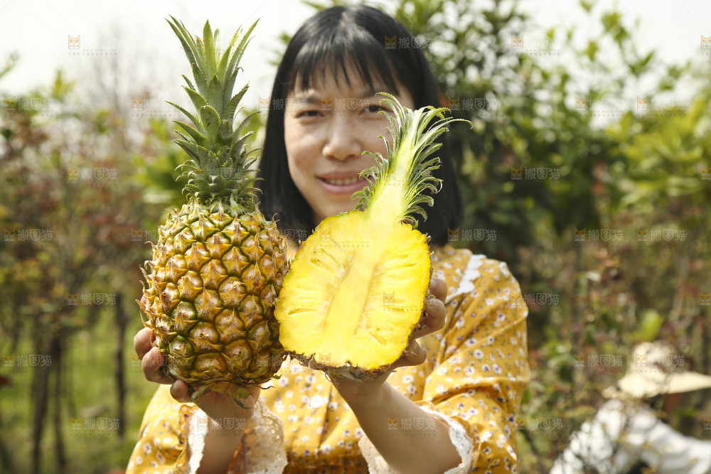手里拿着菠萝