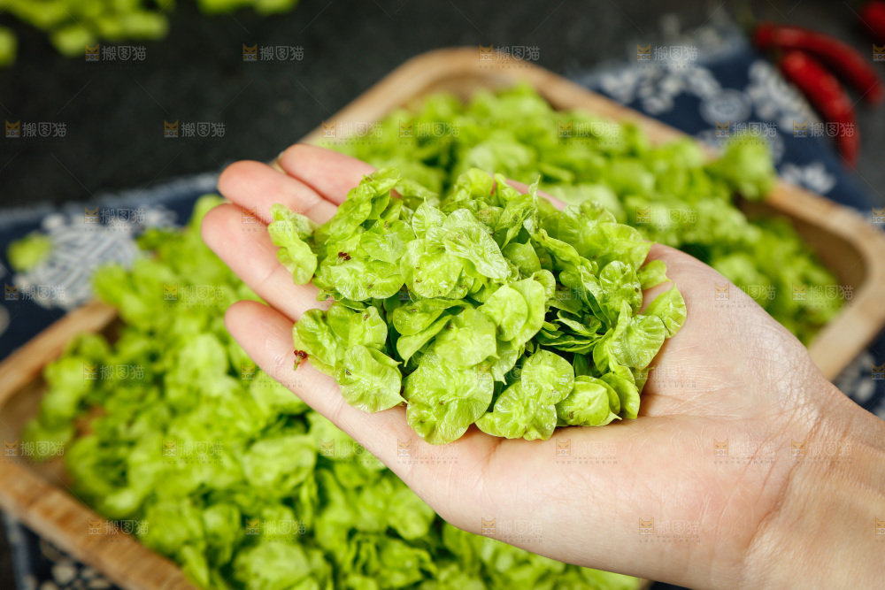 手里拿着榆钱