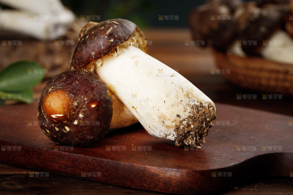 木板上放着松茸菇