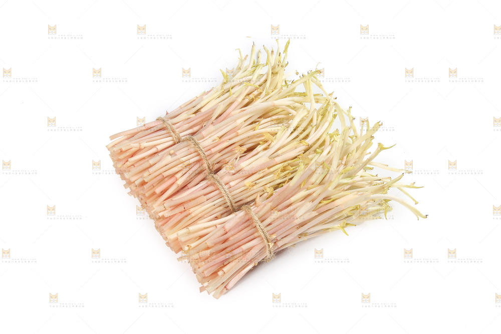 白底上的鱼腥草嫩芽