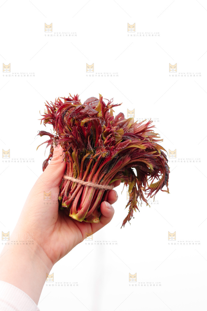 手里拿着红油香椿芽
