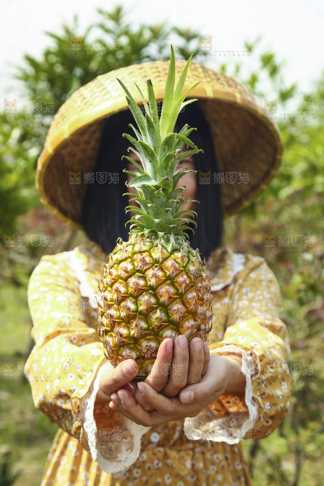手里拿着菠萝