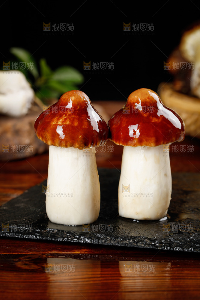 黑底上放着赤茸菇