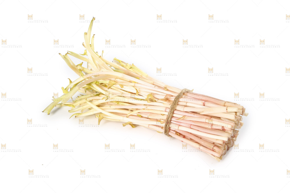 白底上的鱼腥草嫩芽