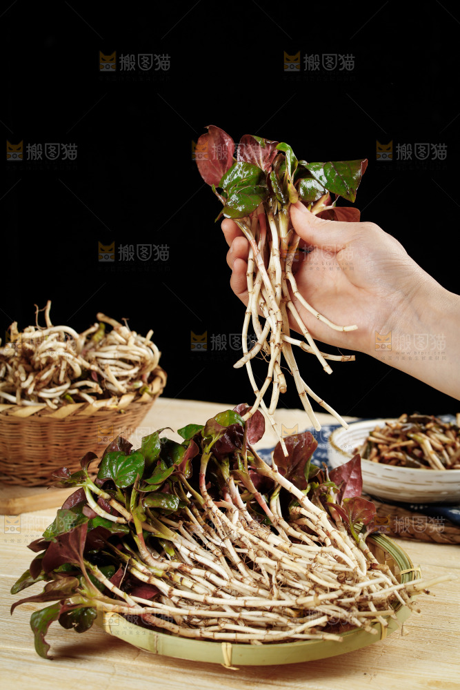 手里拿着鲜嫩折耳根