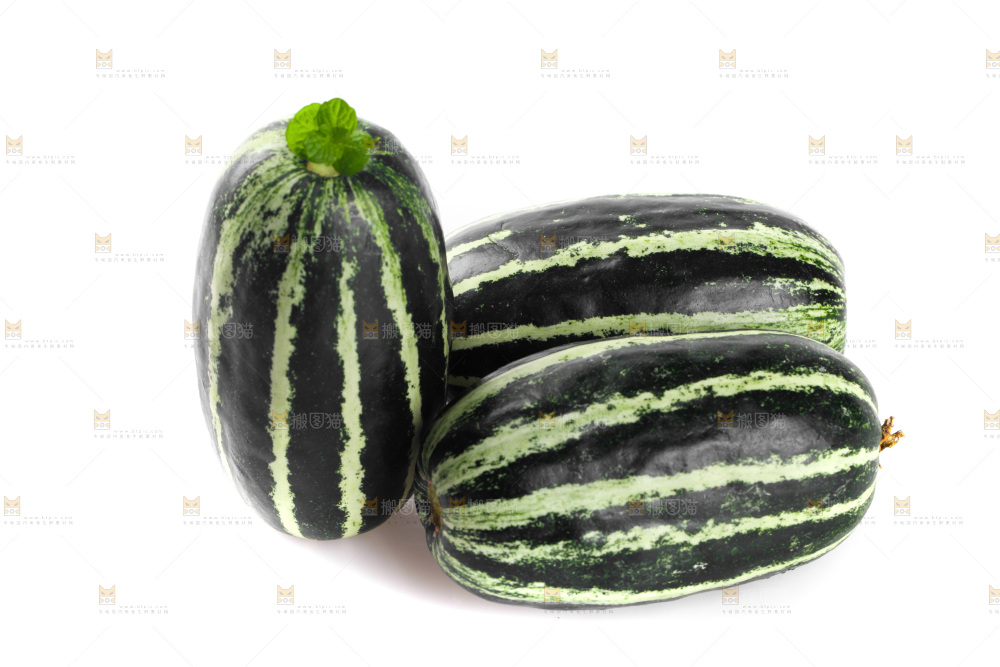 白底上的博洋9号