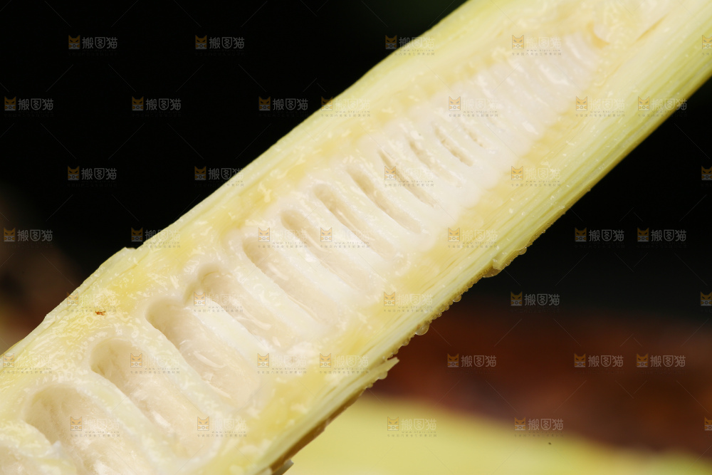 手里拿着切开的雷笋