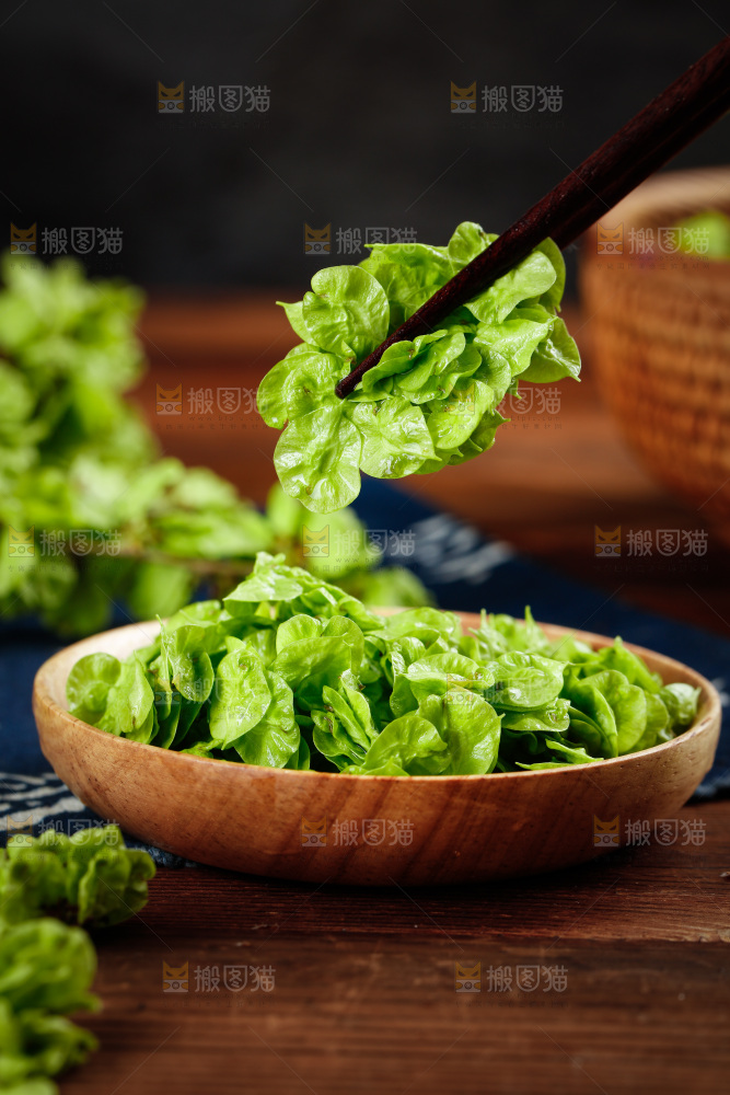 筷子上夹着榆钱