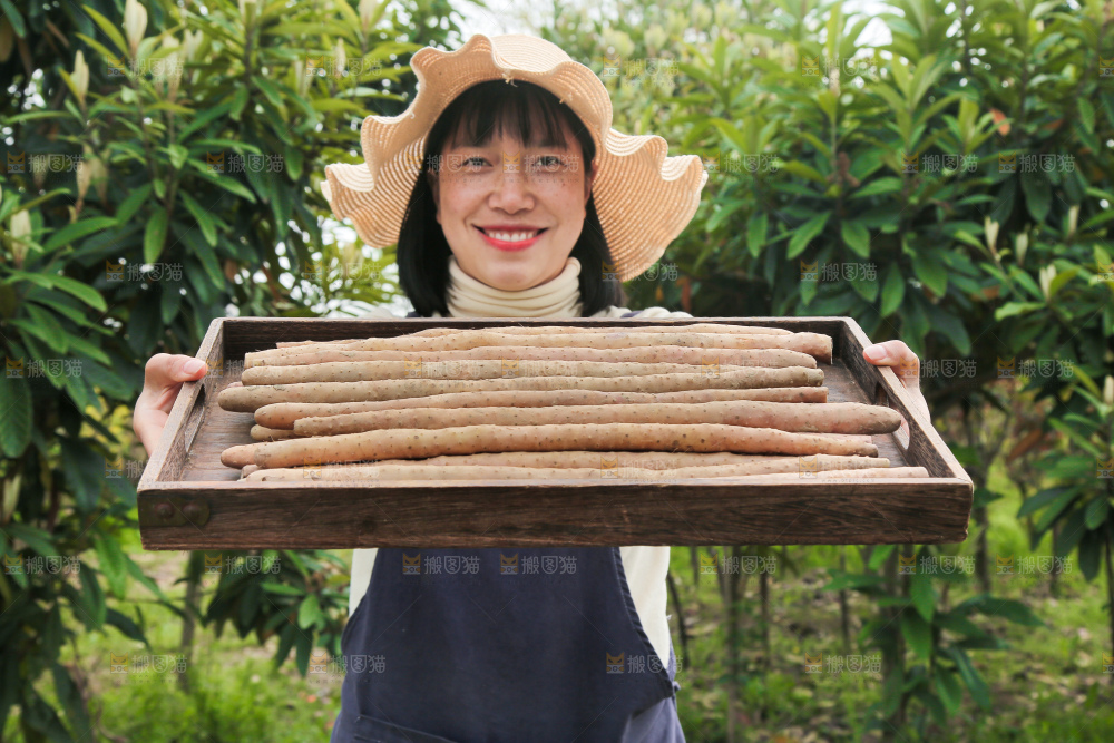手里端着一盘铁棍山药