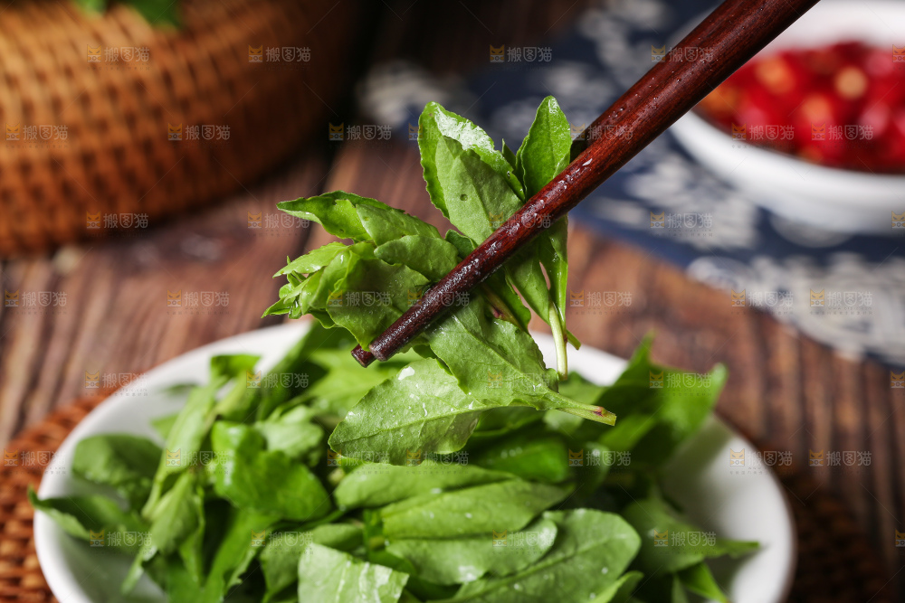 筷子上夹着枸杞菜