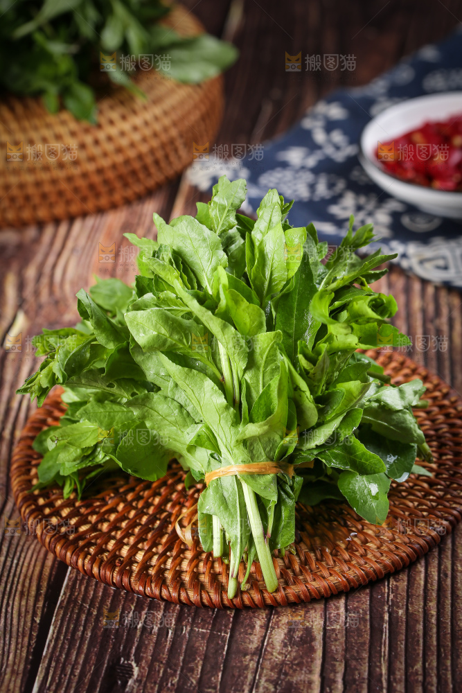 一堆新鲜枸杞菜