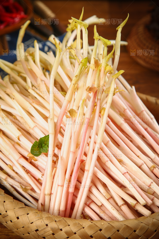 一篮鱼腥草嫩尖