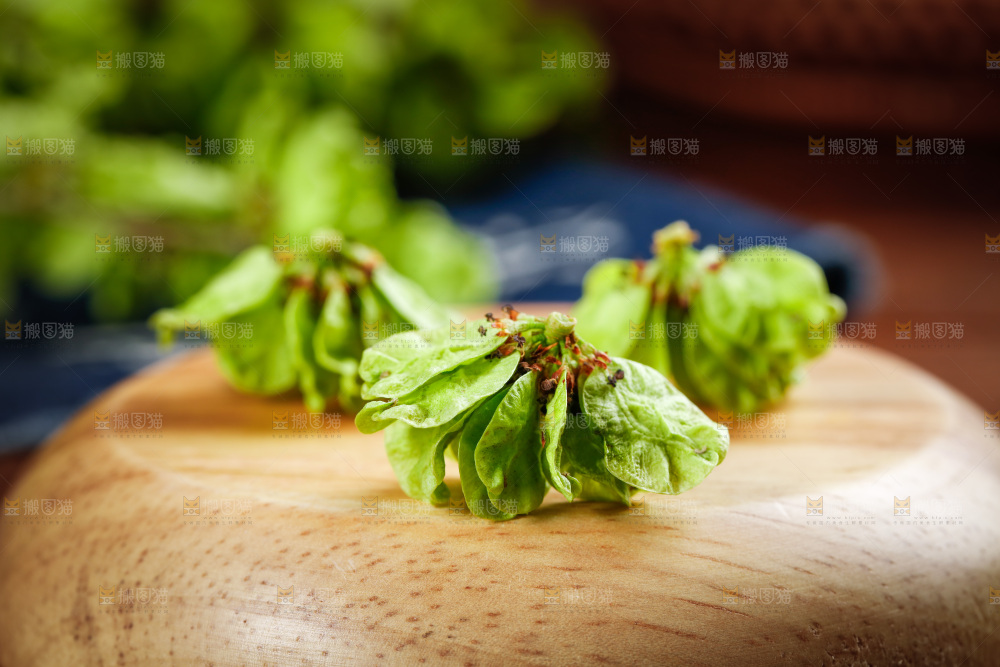木底上的榆钱儿