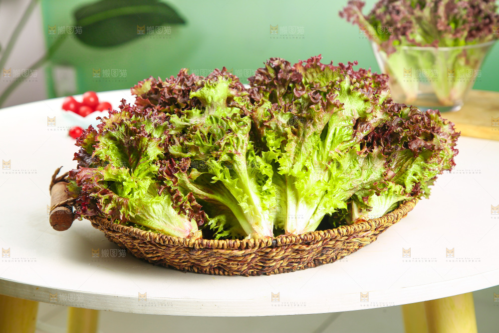 一篮紫叶生菜